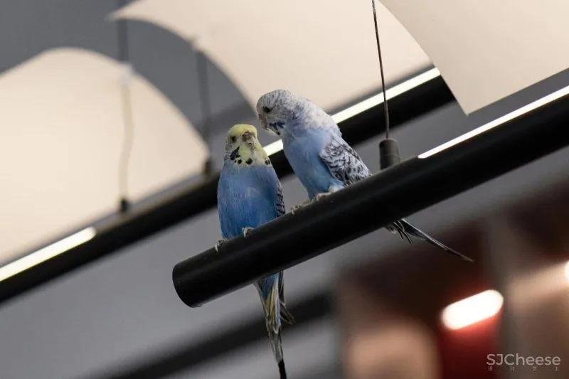 中南·春风南岸:演绎东方韵味 EASE 自在