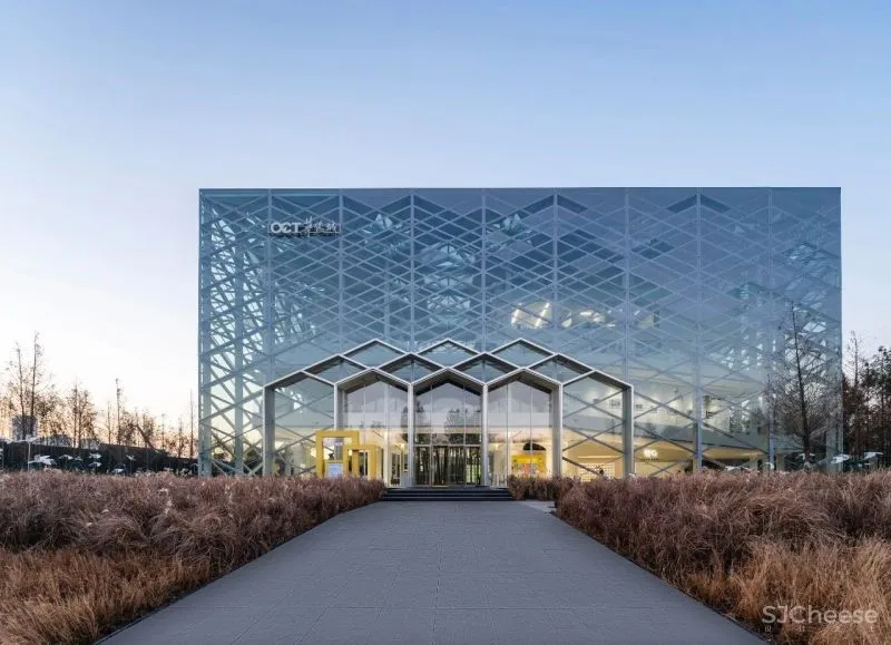 杉•艺术空间，“杉林秘境”中赴一场光影奇旅 RWD 黄志达