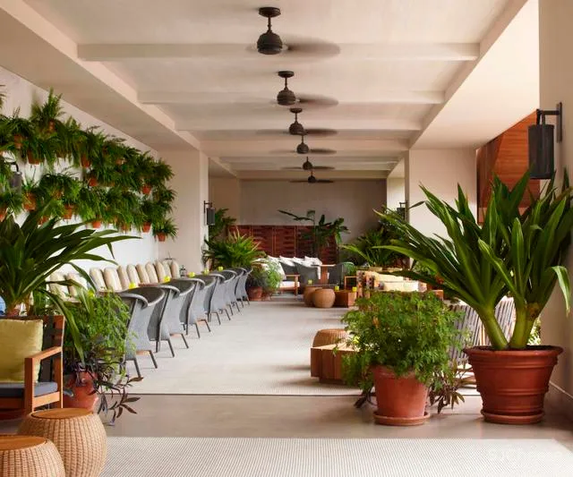 Yabu Pushelberg-夏威夷Edition现更名为Modern Honolulu