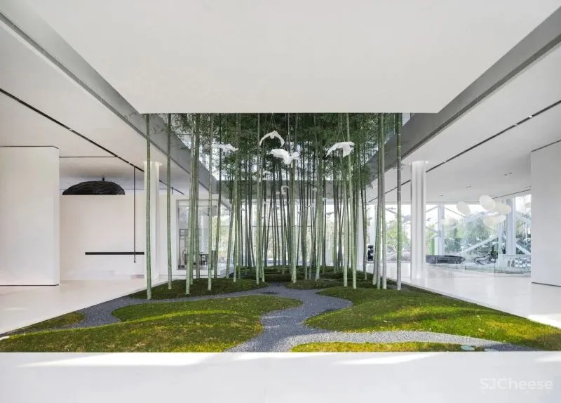 杉•艺术空间，“杉林秘境”中赴一场光影奇旅 RWD 黄志达