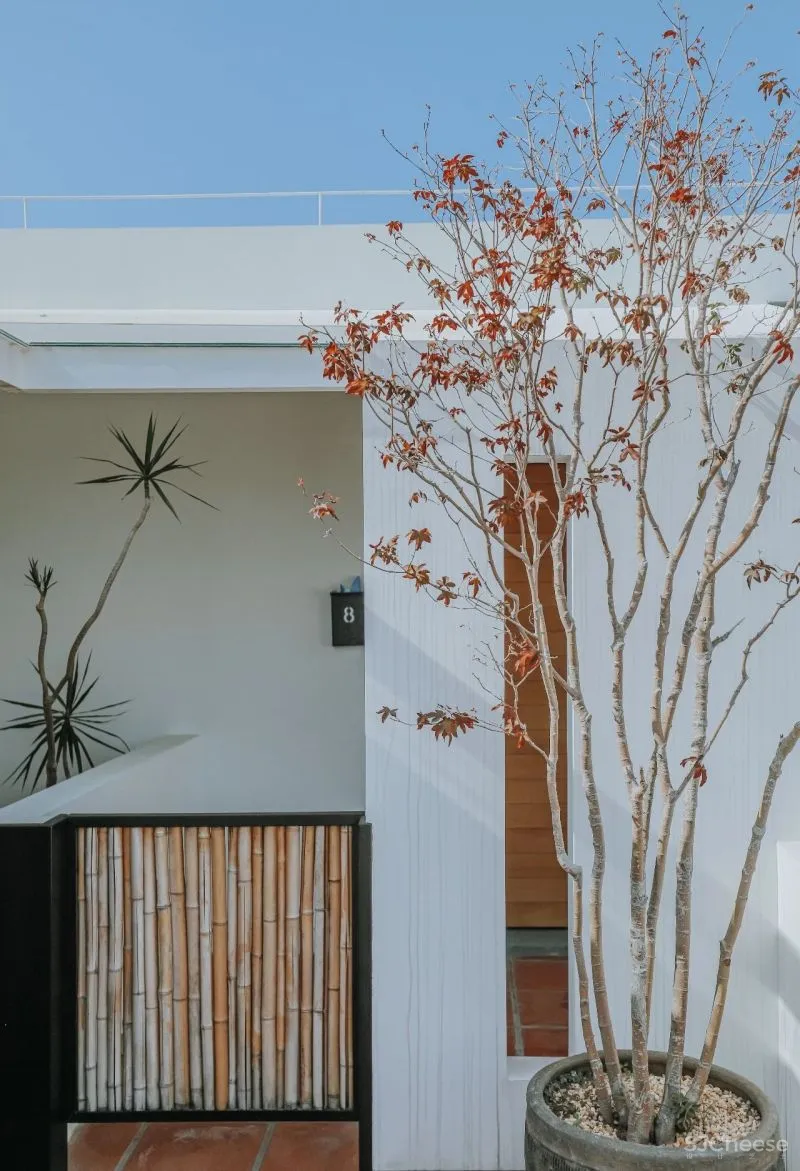 鼓浪屿老屋爆改民宿,这设计太美了! 至少是设计