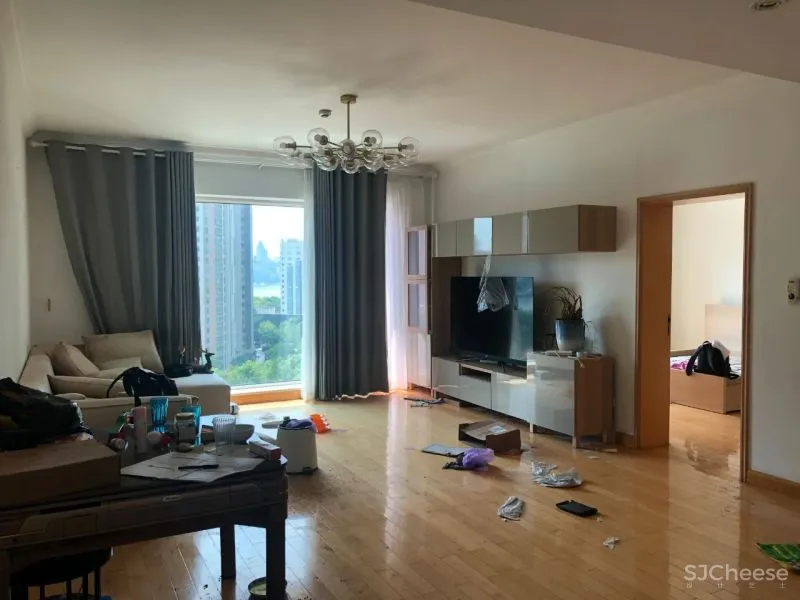 一个人的豪宅!90小伙买下195㎡江景房,猫房装「空调」,真的凡尔赛!