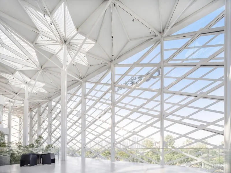 杉•艺术空间，“杉林秘境”中赴一场光影奇旅 RWD 黄志达