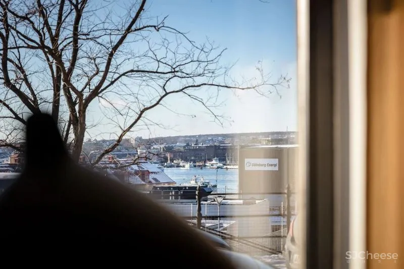 60㎡温柔知性的美,瑞典单身女子公寓