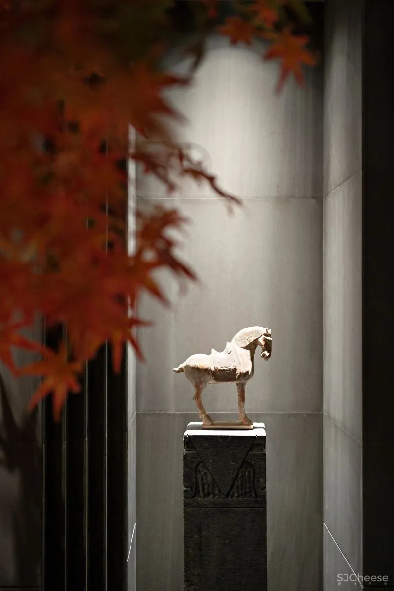 RWD新作 许你一个长安梦