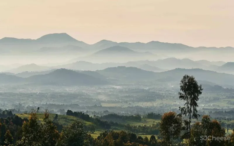 全球12家唯逸One-Only:既大气恢弘,亦宁静私密