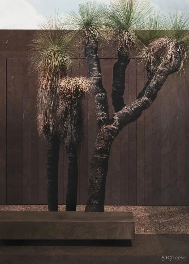 【MORQ】野性十足的原生自然建筑