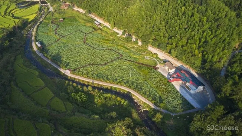 12个走进乡村的好设计 只有根植本土,才能唤醒乡村