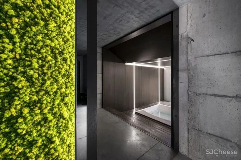 TRIMONIS 波西米亚住宅改造 独栋U36住宅