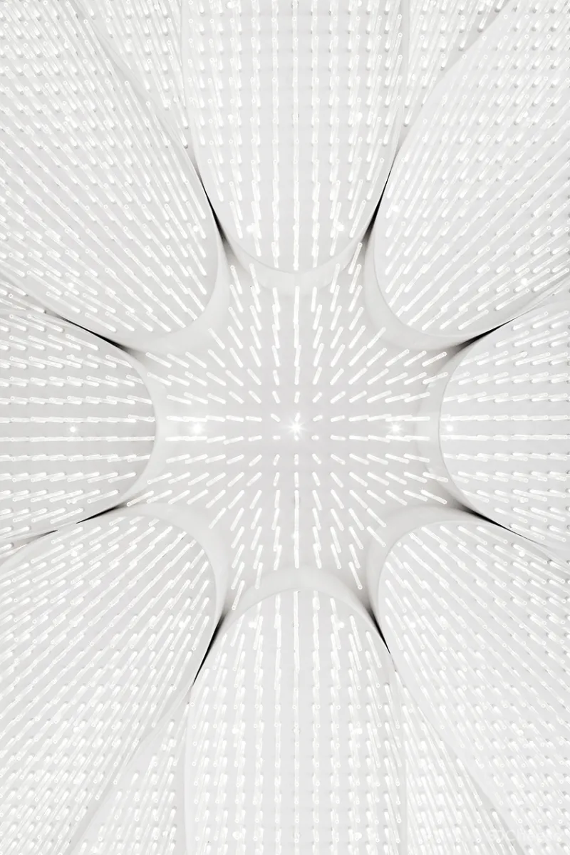 邱德光设计:以花为名