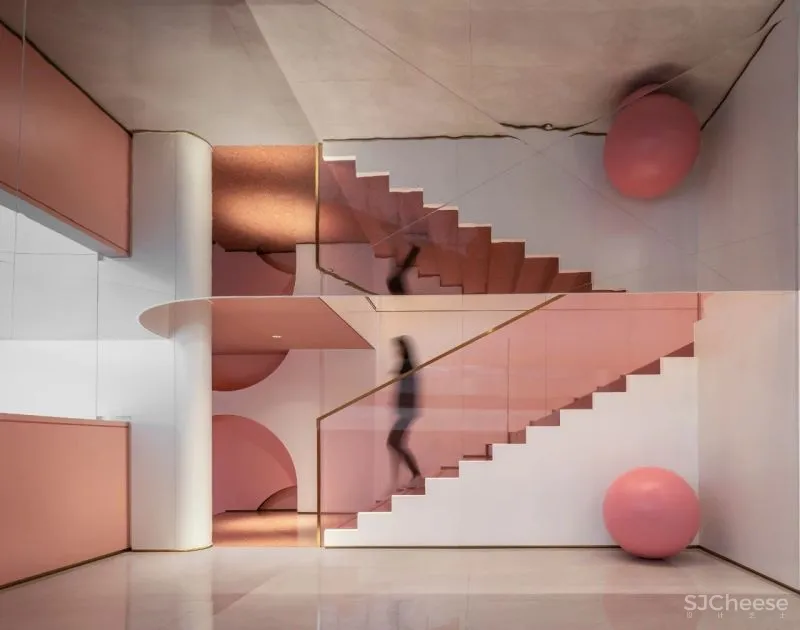 Fly to the moon丨SNP 尚诺柏纳