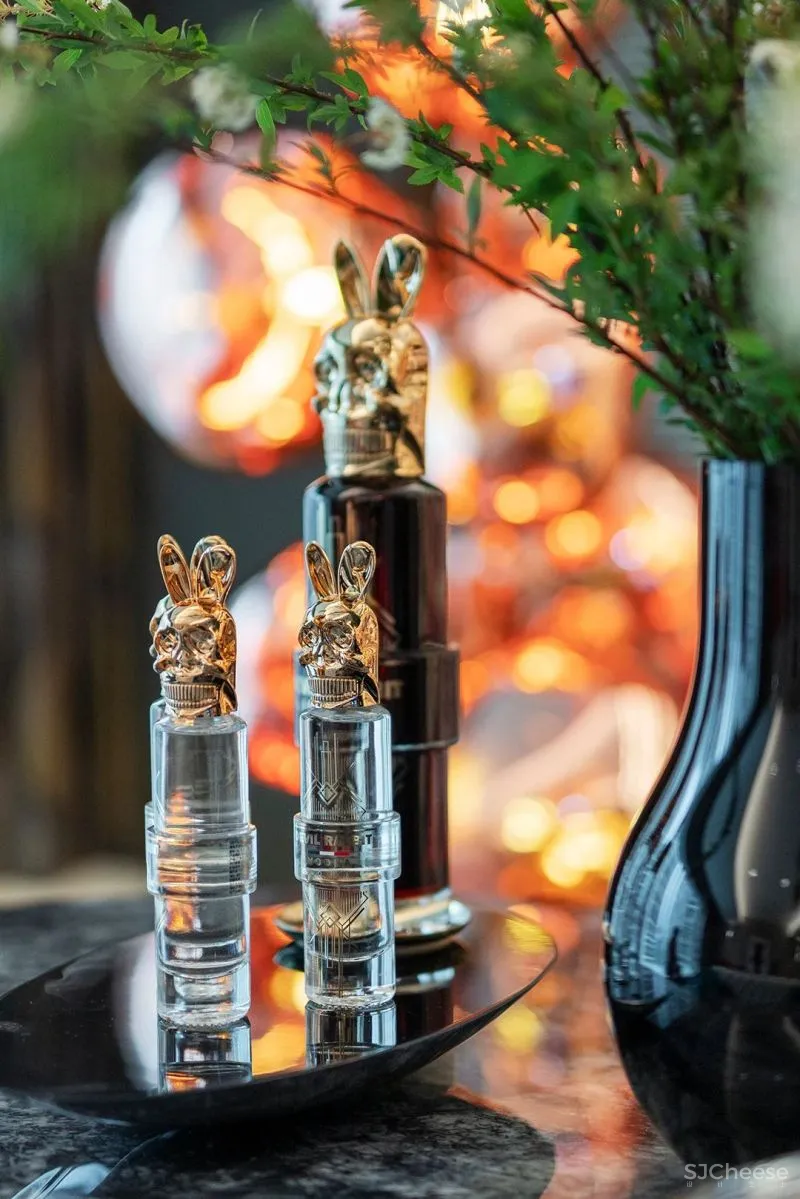 AN AURA 深圳中心 · 天元 314 m² 前卫艺术豪宅,头号玩家!