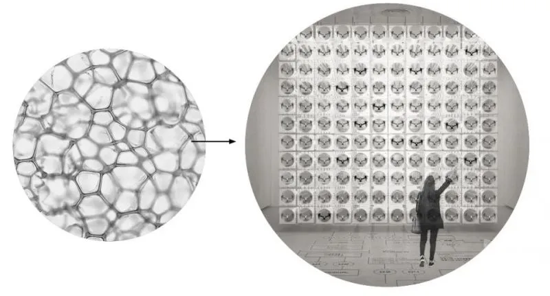 深圳超级地标——大疆总部“天空之城”即将建成，全钢结构科技感十足