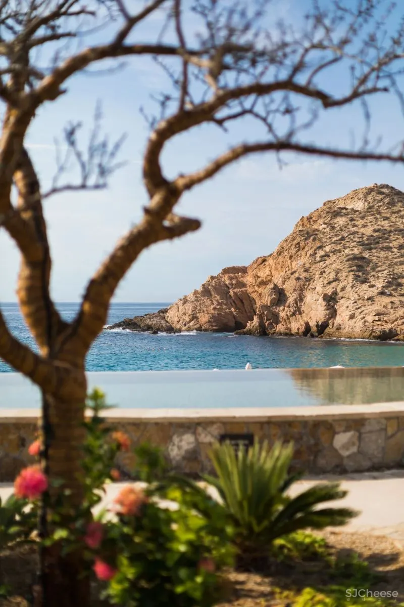 蒙太奇洛斯卡沃斯酒店