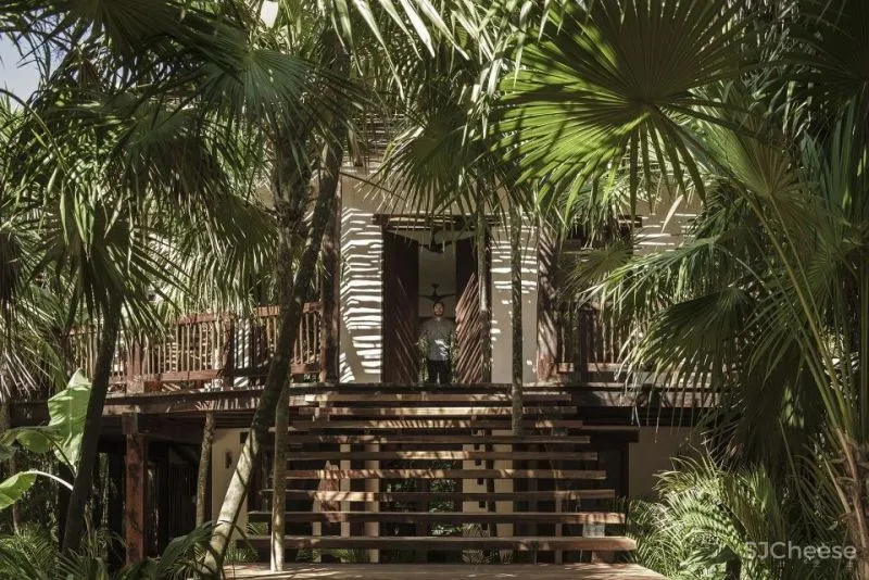 CO LAB 自然系住宅