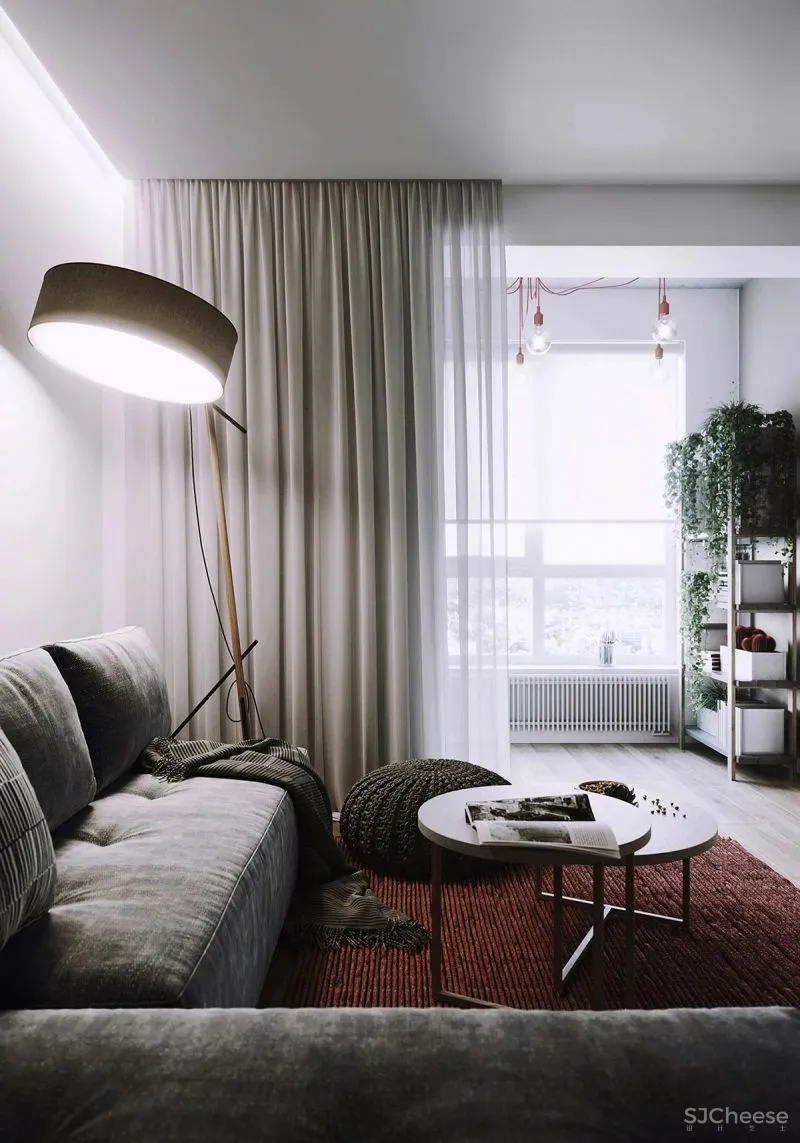 室内绿植“调色盘”,给你的生活来点色儿!