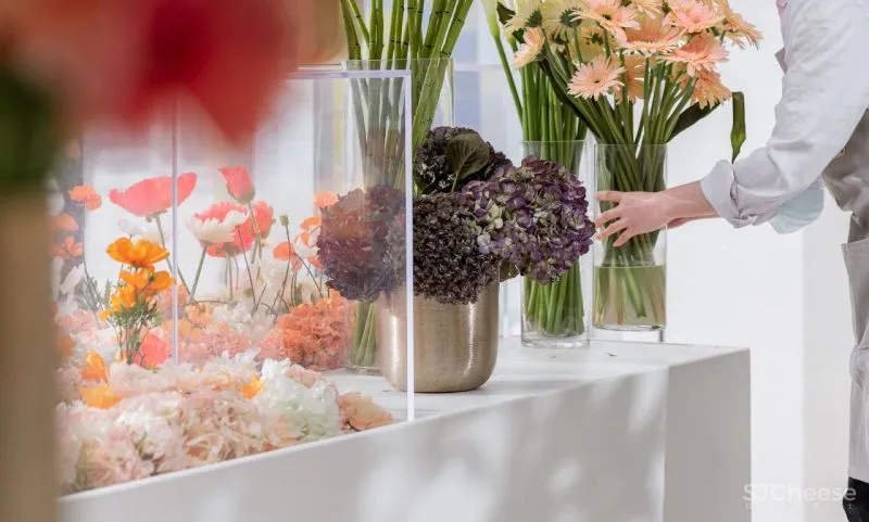 花築光陰|GBD 杜文彪