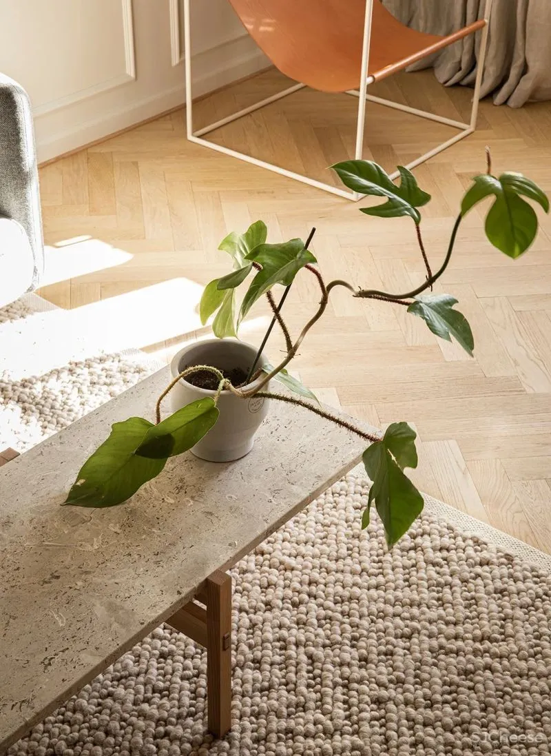 安静的治愈 Norm Architects 15 个顶级设计