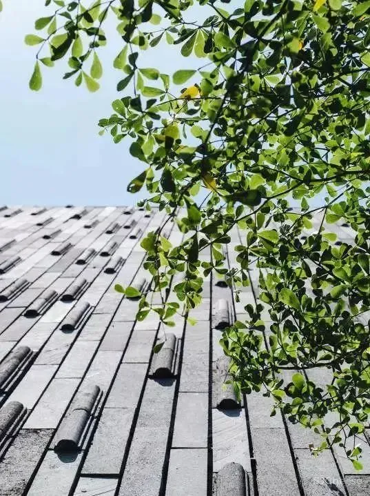 私藏东南亚设计满分的度假酒店，一次公开给你！