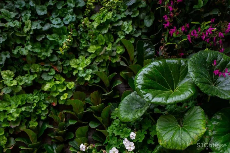 4639 Gorham Drive加利福尼亚州92625