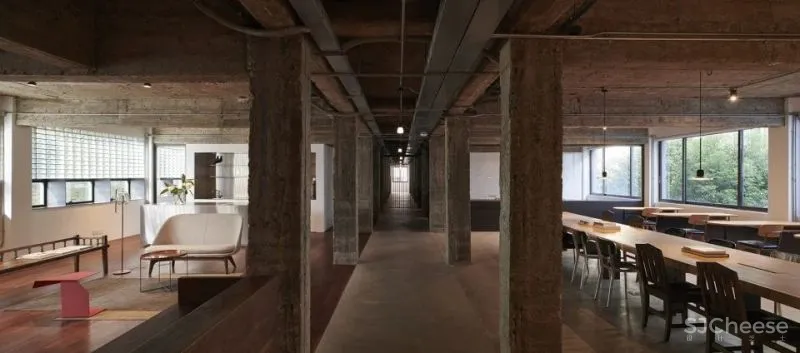 建筑实验 上海NO.31建筑改造和室内设计项目