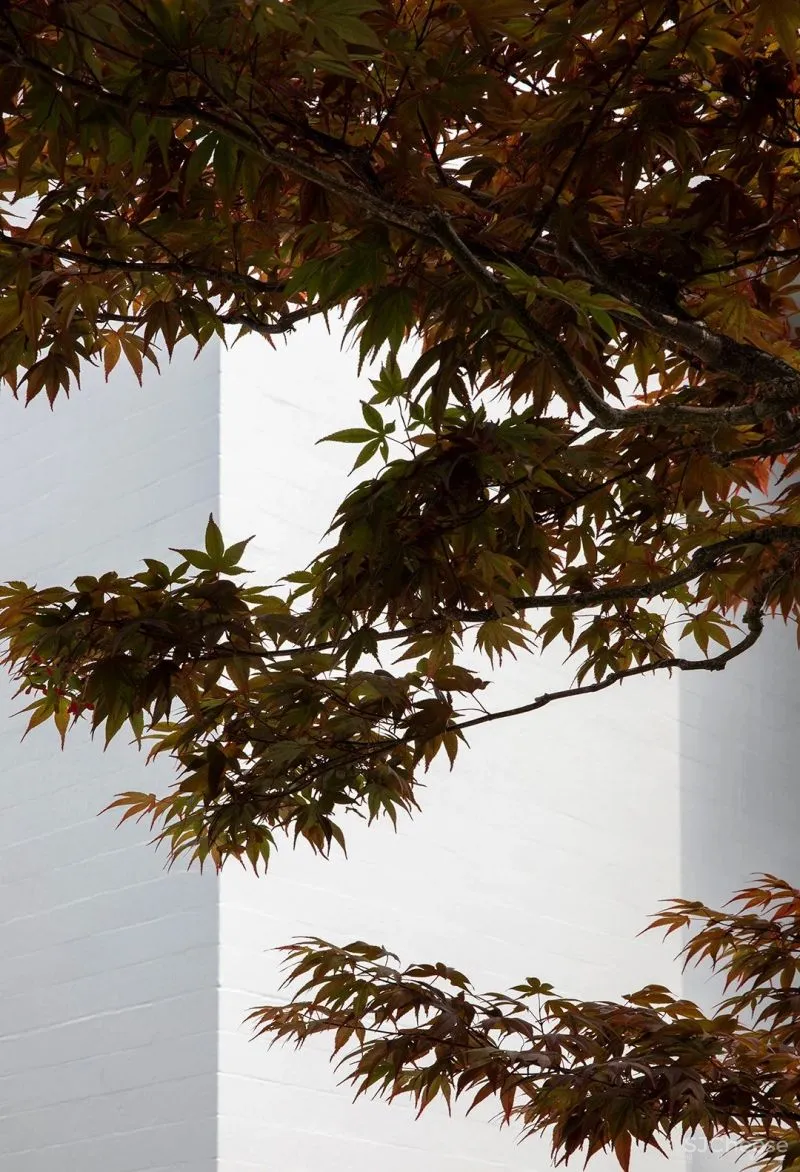 安静的治愈 Norm Architects 15 个顶级设计