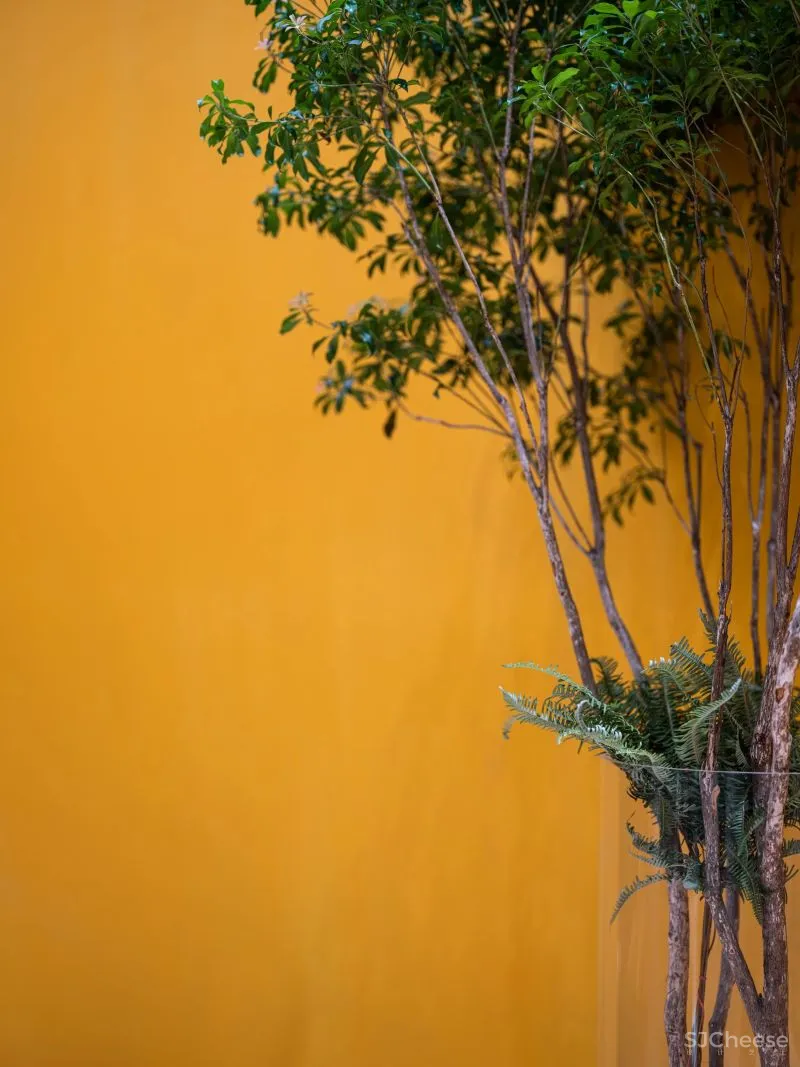 设计公司自己的办公室——为舒适办公而升级