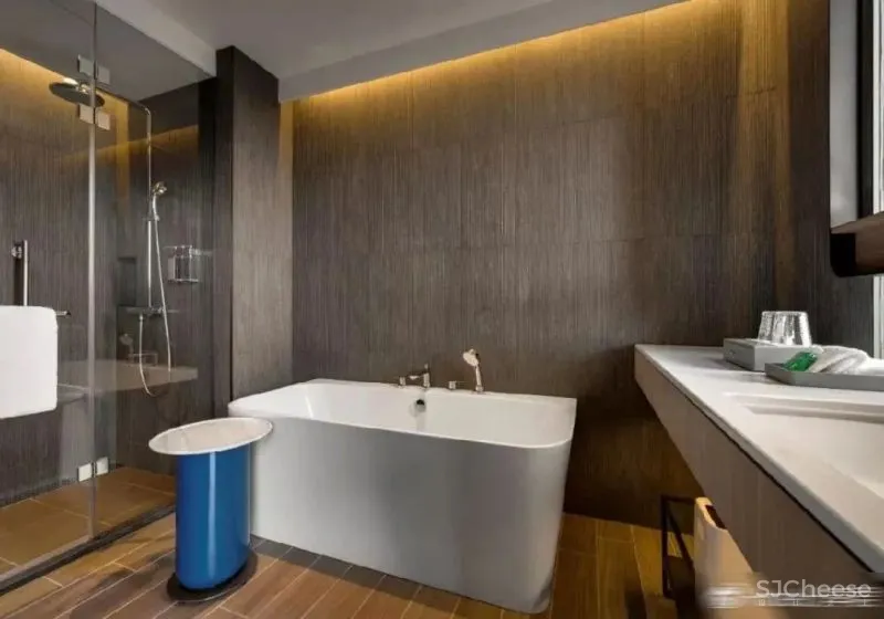 CCD打造-亚太地区首家希尔顿 Tapestry 酒店