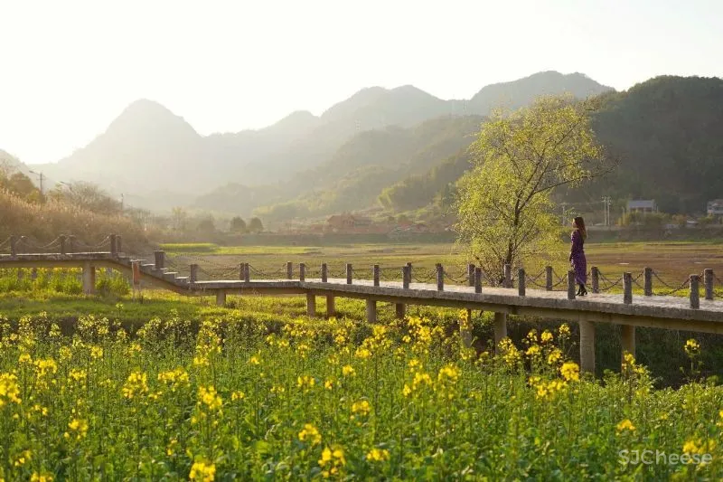 独家首发!江浙沪超野奢摩洛哥风情民宿,面朝湖泊坐拥田园,开业就吸引爆火综艺来录制!