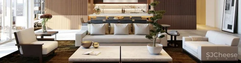 澳洲最贵豪宅!1600㎡,7亿成交,谁说公寓不如别墅?