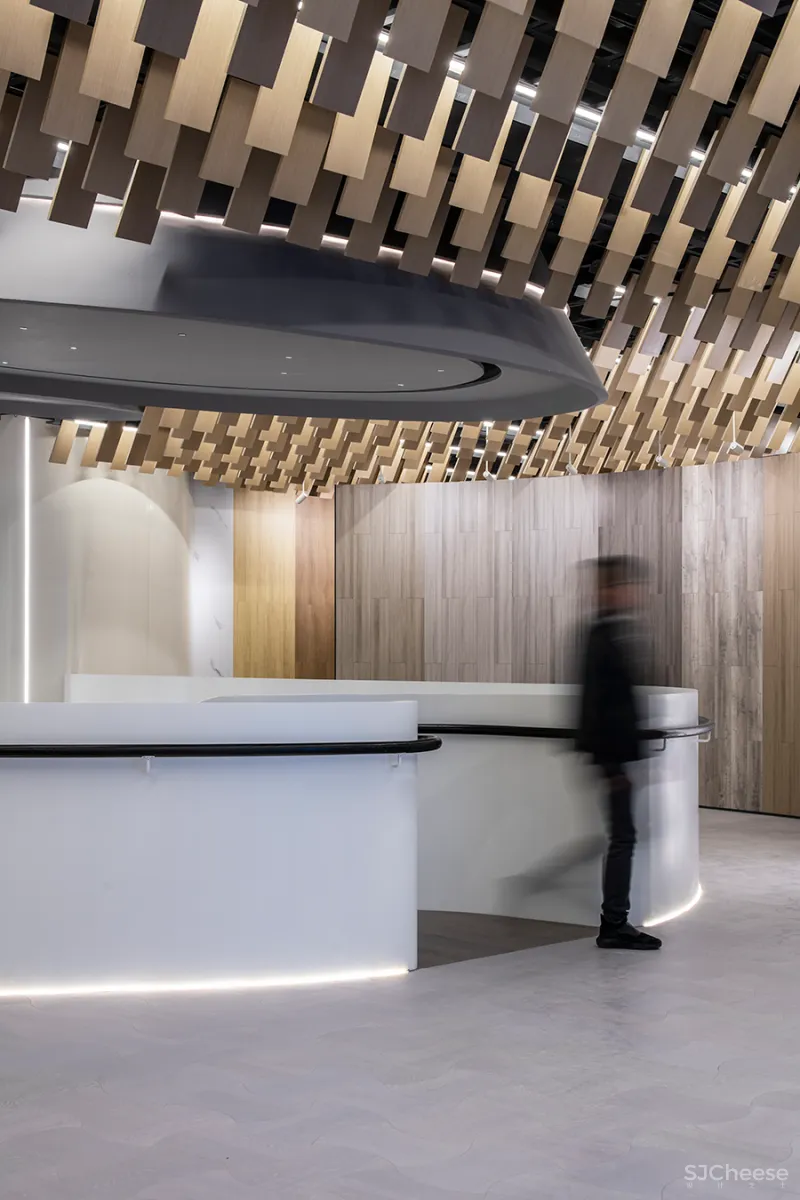 谢天 • 天梯景观|出繁入简,化情与理