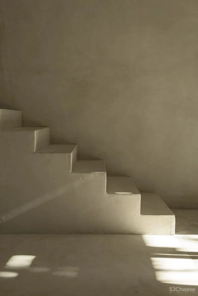 CO LAB 自然系住宅