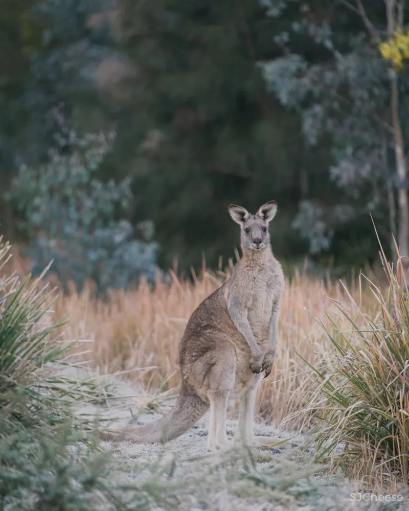 全球12家唯逸One-Only:既大气恢弘,亦宁静私密