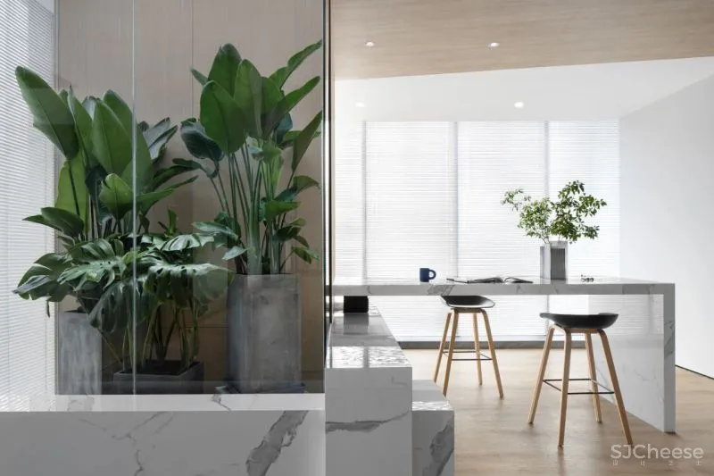 知白设计 × 餐盟严选:盒中绿意,21棵树的办公空间