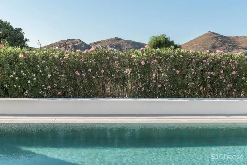 极简主义 希腊PARĪLIO酒店 INTERIOR DESIGN LABORATORIUM