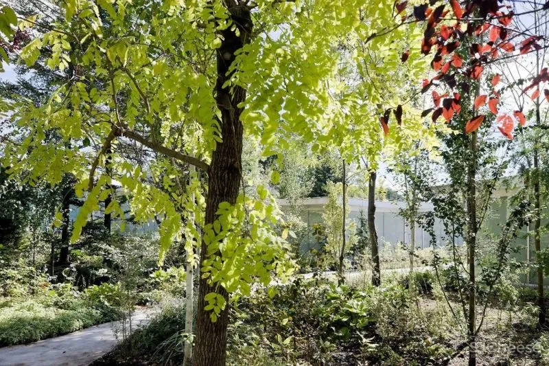 西泽立卫建筑事务所 画家千住博美术馆