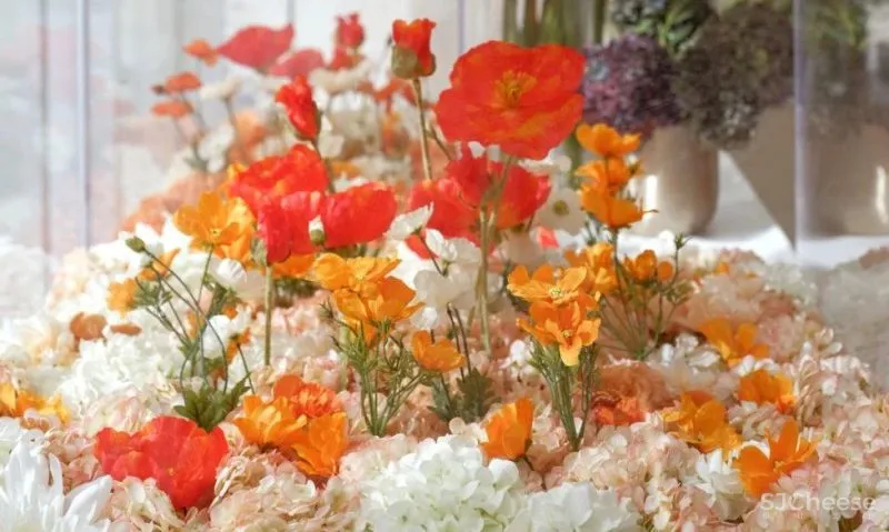 花築光陰|GBD 杜文彪