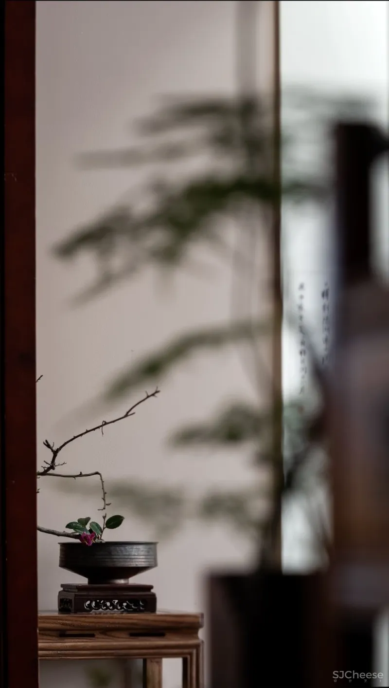 朗众设计|大益茶