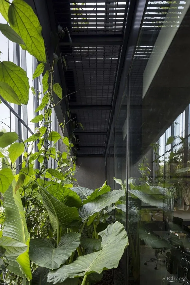 新作 开放式平面优化工作模式 Soler 4733办公室 Ana Sol Smud