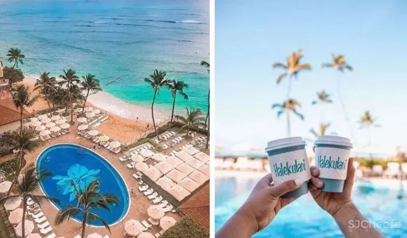 全球第二家Halekulani•解锁城市海岛度假新美学!