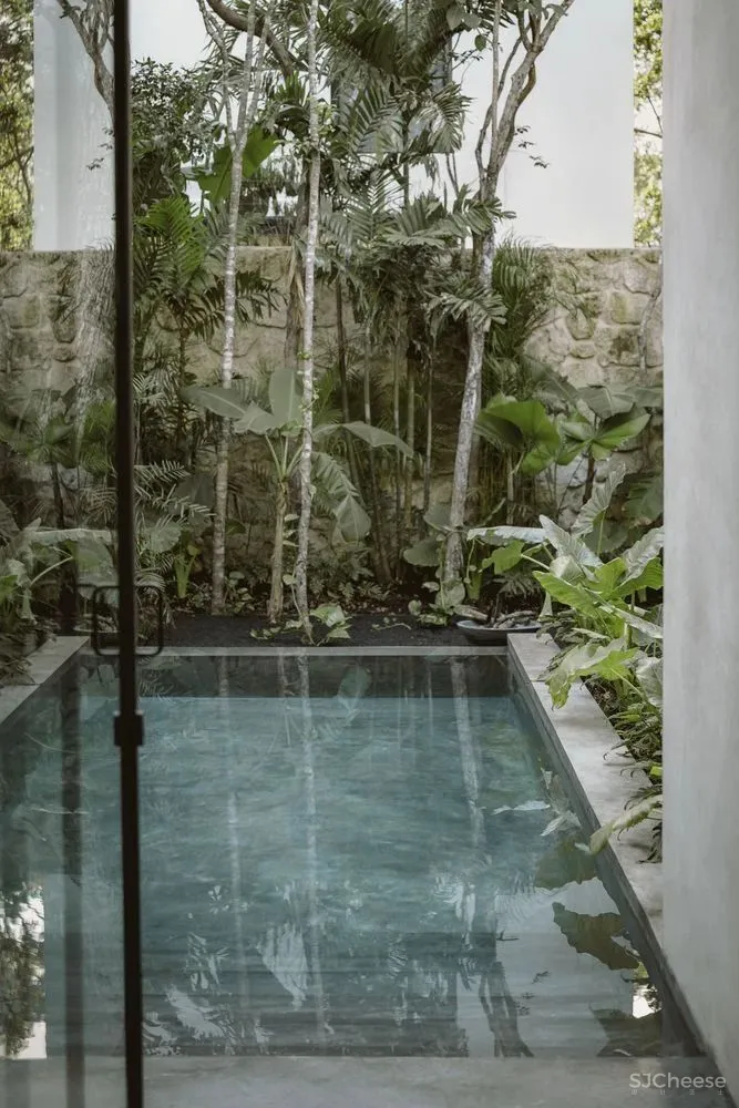 CO LAB 自然系住宅