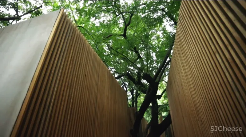 Mauricio Ceballos 墨西哥 融入大自然的林间景观别墅