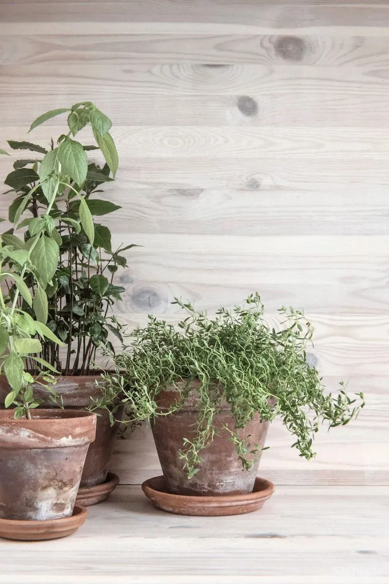 别拦着年轻人买Loft了,装成这样谁不心动!