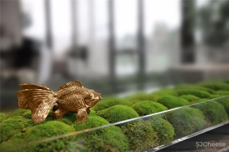 愉悦而至 · 清水湾岸 柏舍设计