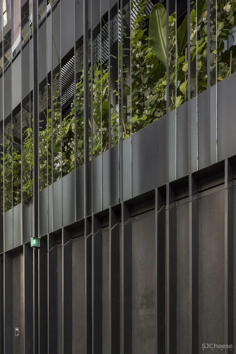 新作 开放式平面优化工作模式 Soler 4733办公室 Ana Sol Smud