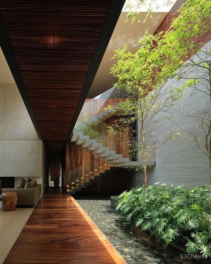 自然探索绿意弥漫的空间