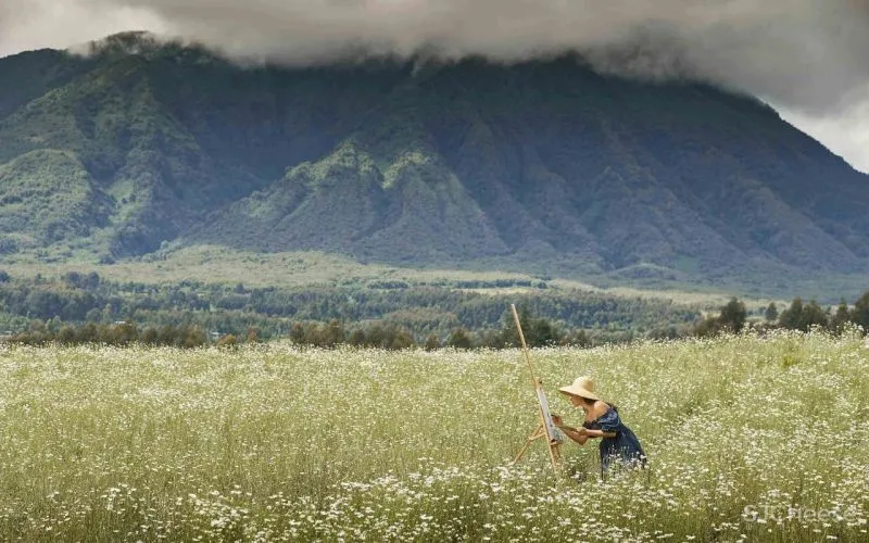 全球12家唯逸One-Only:既大气恢弘,亦宁静私密