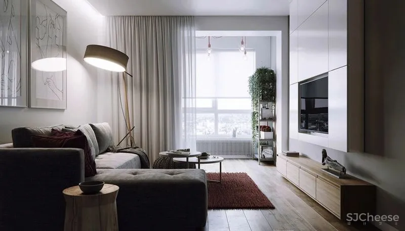 室内绿植“调色盘”,给你的生活来点色儿!