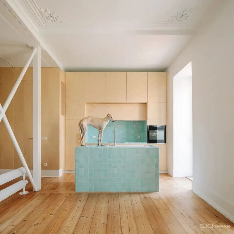 MARIA Apartment Daniel Zamarbide