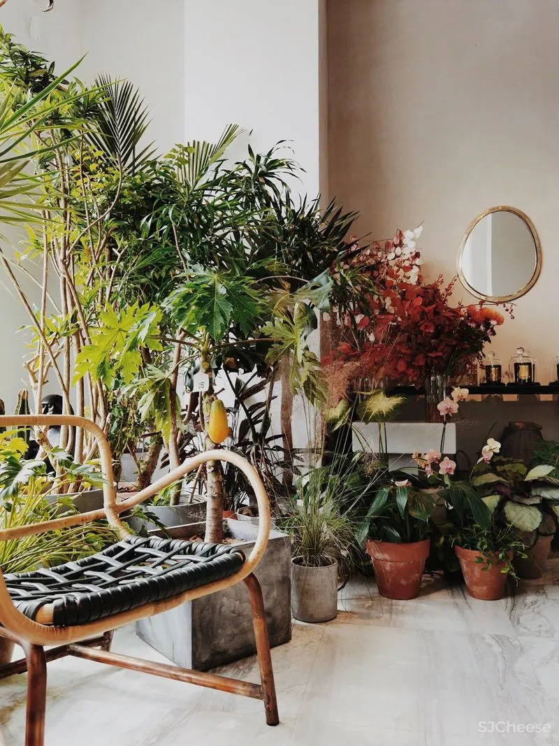 LJ 探店|WS SPACE 無集 |适合约!理想的生活实验场